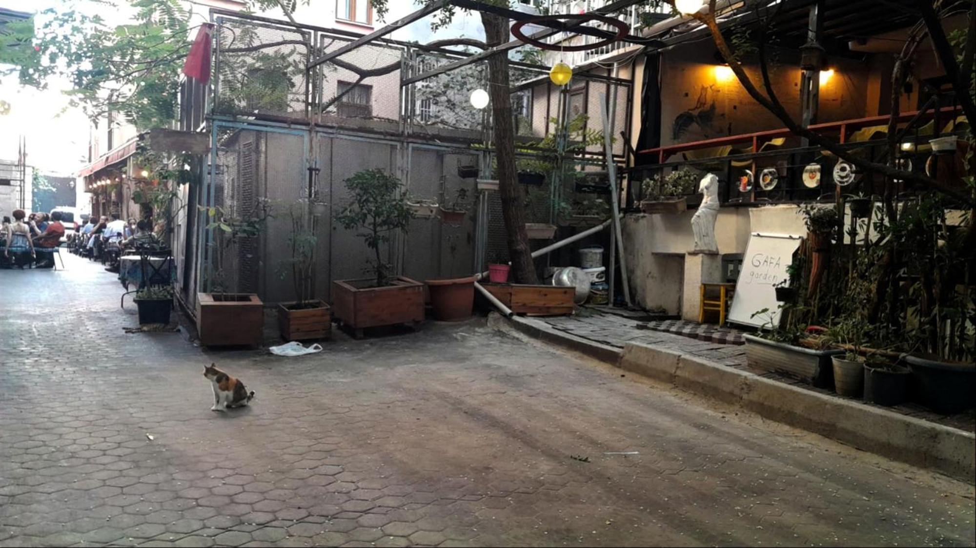 איסטמבול Gafa Garden Hostel & Apartments - Great Location מראה חיצוני תמונה